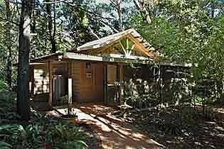 Resort Rainforest Byron Bay