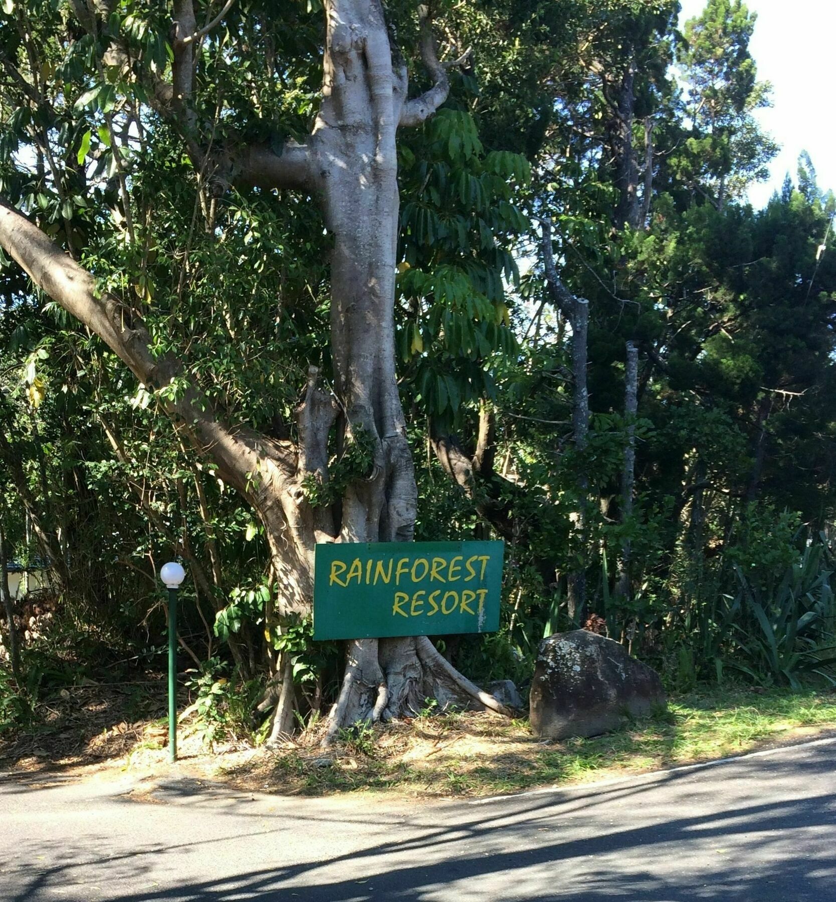 Resort Rainforest
