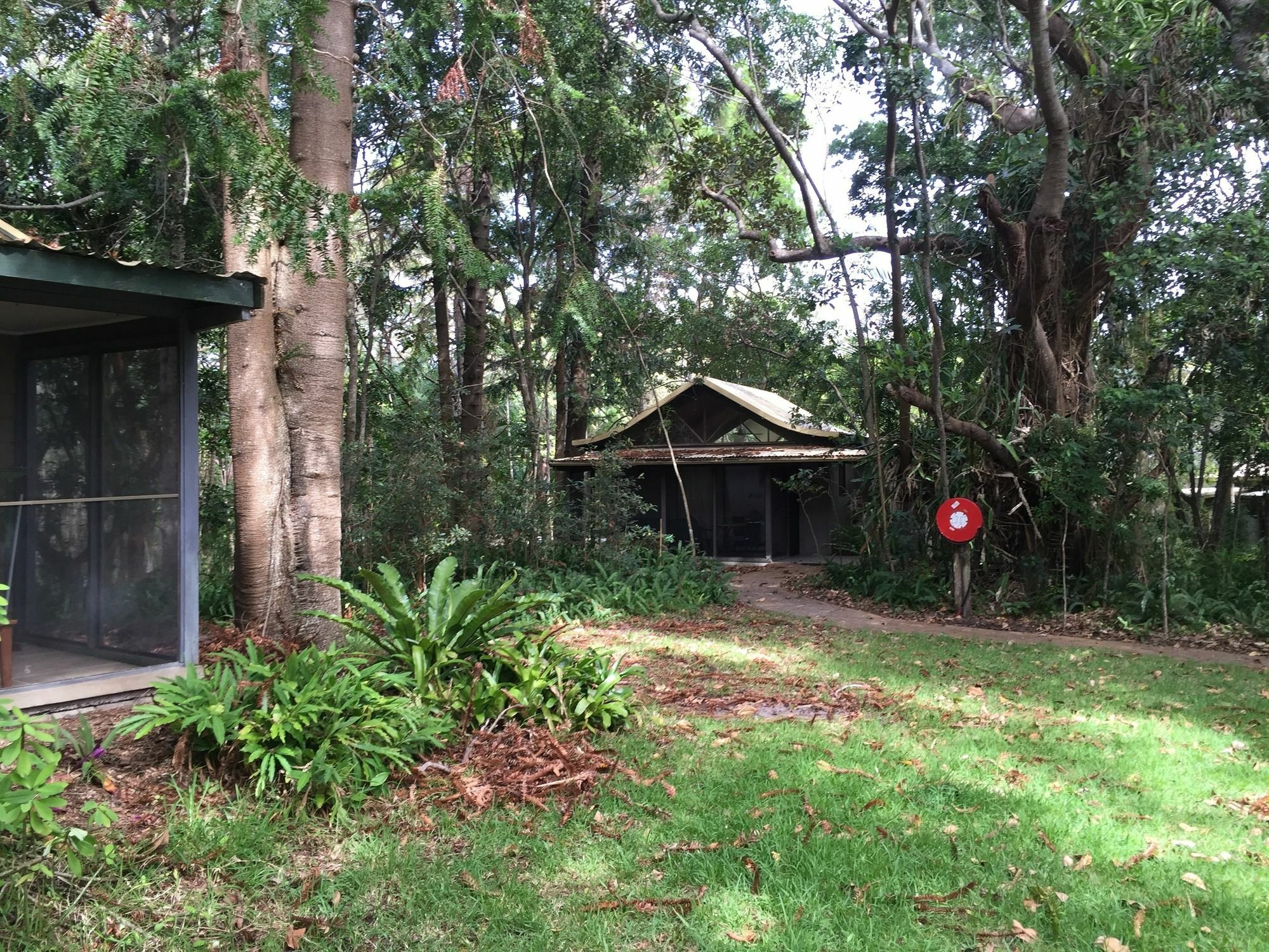 Rainforest 3*