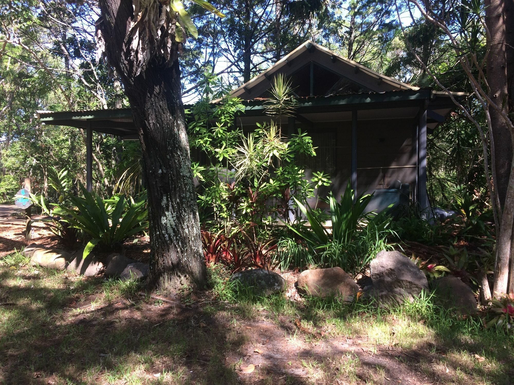 Rainforest Byron Bay